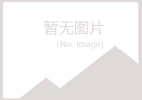 山东晓夏工程有限公司